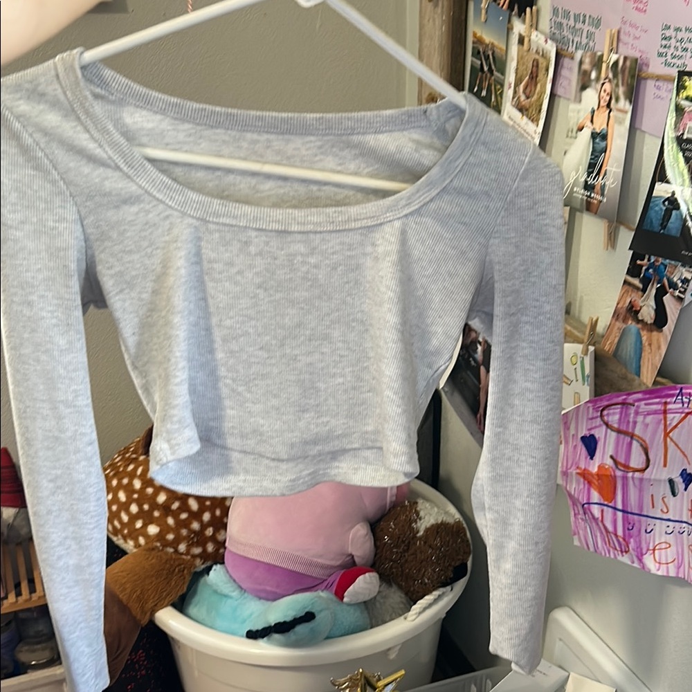 Gray Long Sleeve Crop Top